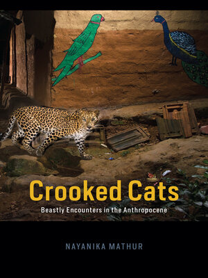 cover image of Crooked Cats